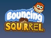 Spel Bons eekhoring  aanlyn