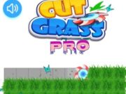 Spel Sny gras pro  aanlyn