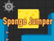 Spel Spons Jumper  aanlyn