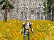 Spel Byl van die ou mense Dwarven Fury  aanlyn