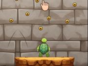 Spel Skilpadkoer  aanlyn