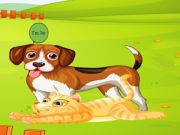 Spel Bunny Key Quest  aanlyn