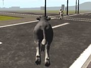 Spel Crazy Bull City  aanlyn