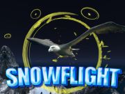 Spel Sneeuvlieg  aanlyn