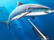 Spel Jag onderwater spearfishing aanlyn