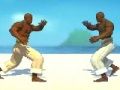 Spel Capoeira Fighter  aanlyn