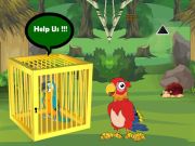Spel Release vasgevangde Macaw Buddy aanlyn