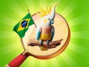 Spel Verborge voorwerpe: vakansie in Brasilië aanlyn