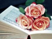 Spel Book of Blooms Jigsaw aanlyn