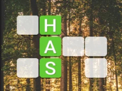 Spel Word Connect aanlyn