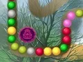 Spel Lost Island aanlyn