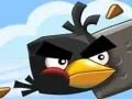 Spel Crazy Birds aanlyn