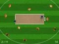 Spel Quicket aanlyn