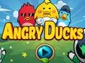 Spel Angry Ducks aanlyn