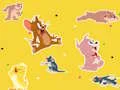 Spel The Tom and Jerry Show Find it! aanlyn