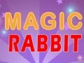 Spel Magic Rabbit aanlyn