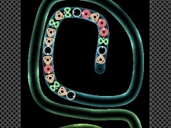 Spel TD Neon Shoot aanlyn