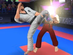Spel Karate Fighter aanlyn