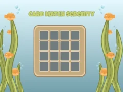 Spel Card Match Serenity aanlyn
