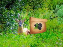 Spel Return To Alsunga Forest aanlyn
