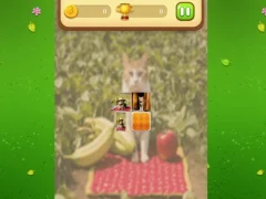 Spel Farm Cat Memory Match aanlyn