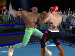 Spel Real Boxing Fighting Game aanlyn