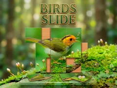 Spel Birds Slide aanlyn