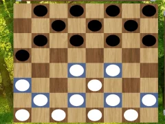Spel Classic Checkers: Forest aanlyn