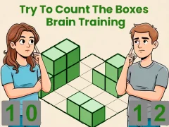 Spel Try To Count The Boxes Brain Training aanlyn