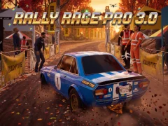 Spel Rally Race Pro 3 aanlyn