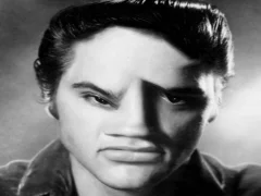 Spel Elvis Funny Face aanlyn