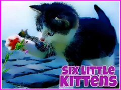 Spel Six Little Kittens aanlyn