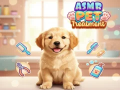 Spel Asmr Pet Treatment aanlyn