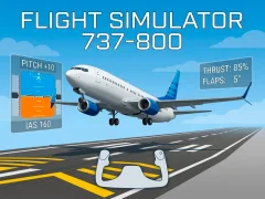 Spel Flight Simulator 737-800 aanlyn