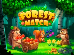 Spel Forest Match aanlyn