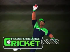 Spel Cricket Fielder Challenge aanlyn