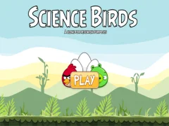 Spel Science Birds aanlyn