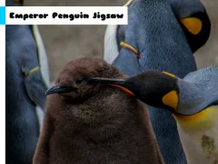 Spel Emperor Penguin Jigsaw aanlyn