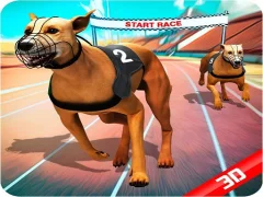 Spel Crazy Dog Race aanlyn