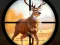 Spel Wild Hunting Clash aanlyn