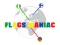 Spel Flags Maniac aanlyn