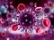 Spel Coronavirus Puzzle aanlyn