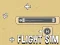 Spel Flight Sim aanlyn
