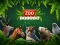 Spel ZOO Trivia aanlyn