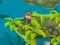 Spel Indi Cannon Players Pack aanlyn