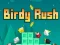 Spel Birdy Rush aanlyn