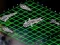 Spel Intergalactic Battleships aanlyn