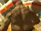 Spel Monster Simulator aanlyn