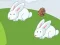 Spel Crazy Eggs aanlyn