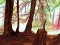 Spel Hidden Stars aanlyn